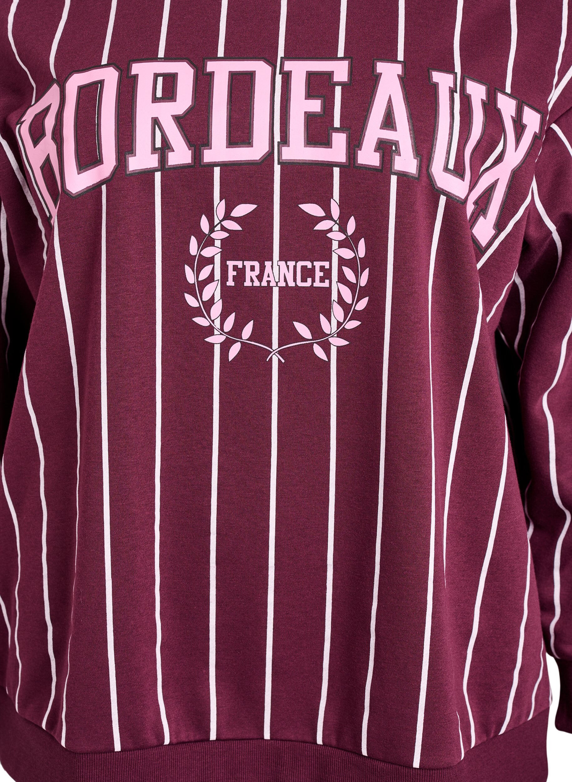 Zizzi Stripet genser med teksttrykk, R&oslash;d, Packshot image number 2