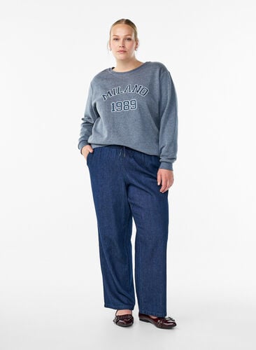 Zizzi Genser med brodert Milan-motiv, Grå, Model image number 1