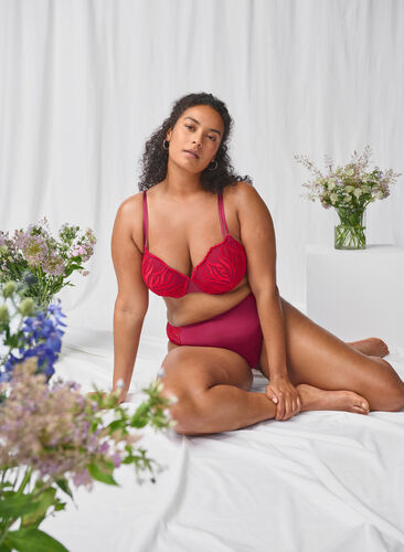 Zizzi Taitruse med broderi og vanlig midjehøyde, Rød, Image image number 0