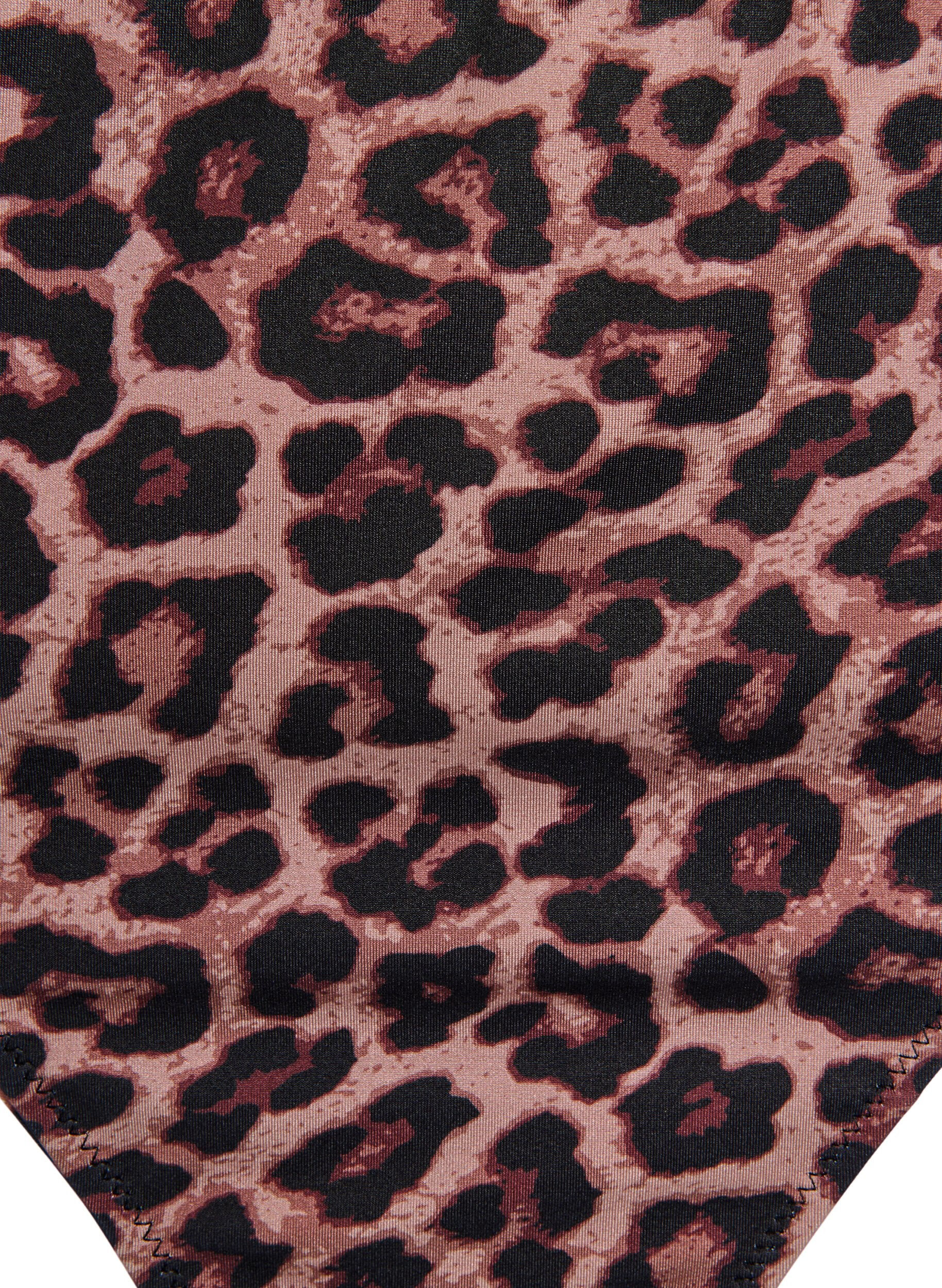 Zizzi Leopardm&oslash;nstret brazilian-bikinitruse, Beige, Packshot image number 2