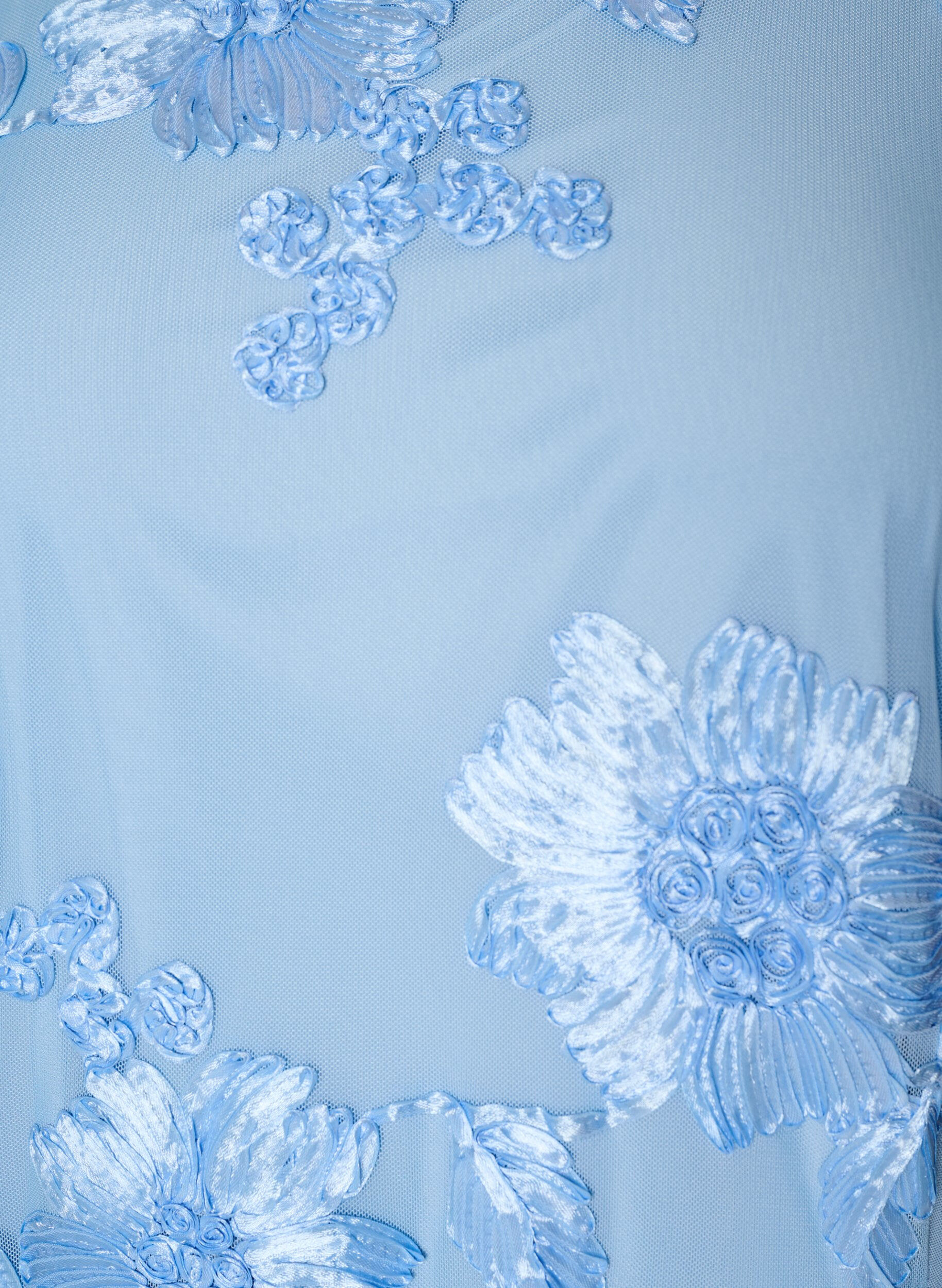 ZizziMesh kjole med blomsterapplikasjoner, Bl&aring;, Packshot image number 2