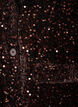 Paljettblazer, Brun, Packshot image number 2