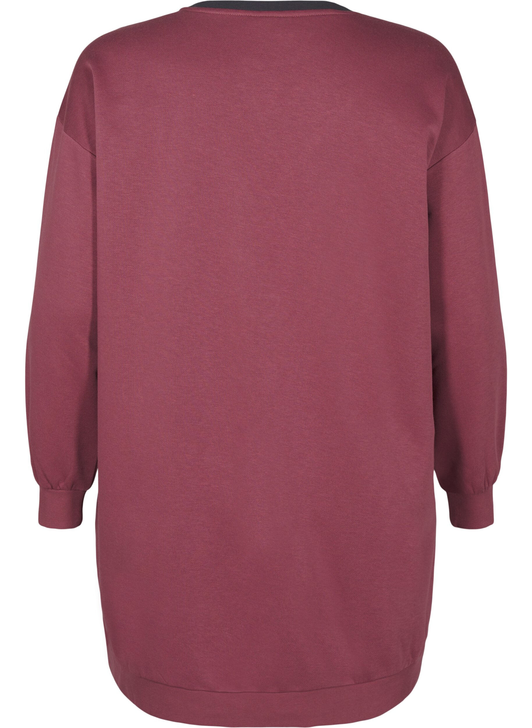Zizzi Lang, fargeblokket sweatshirt, Rose B. Color Block, Packshot image number 1