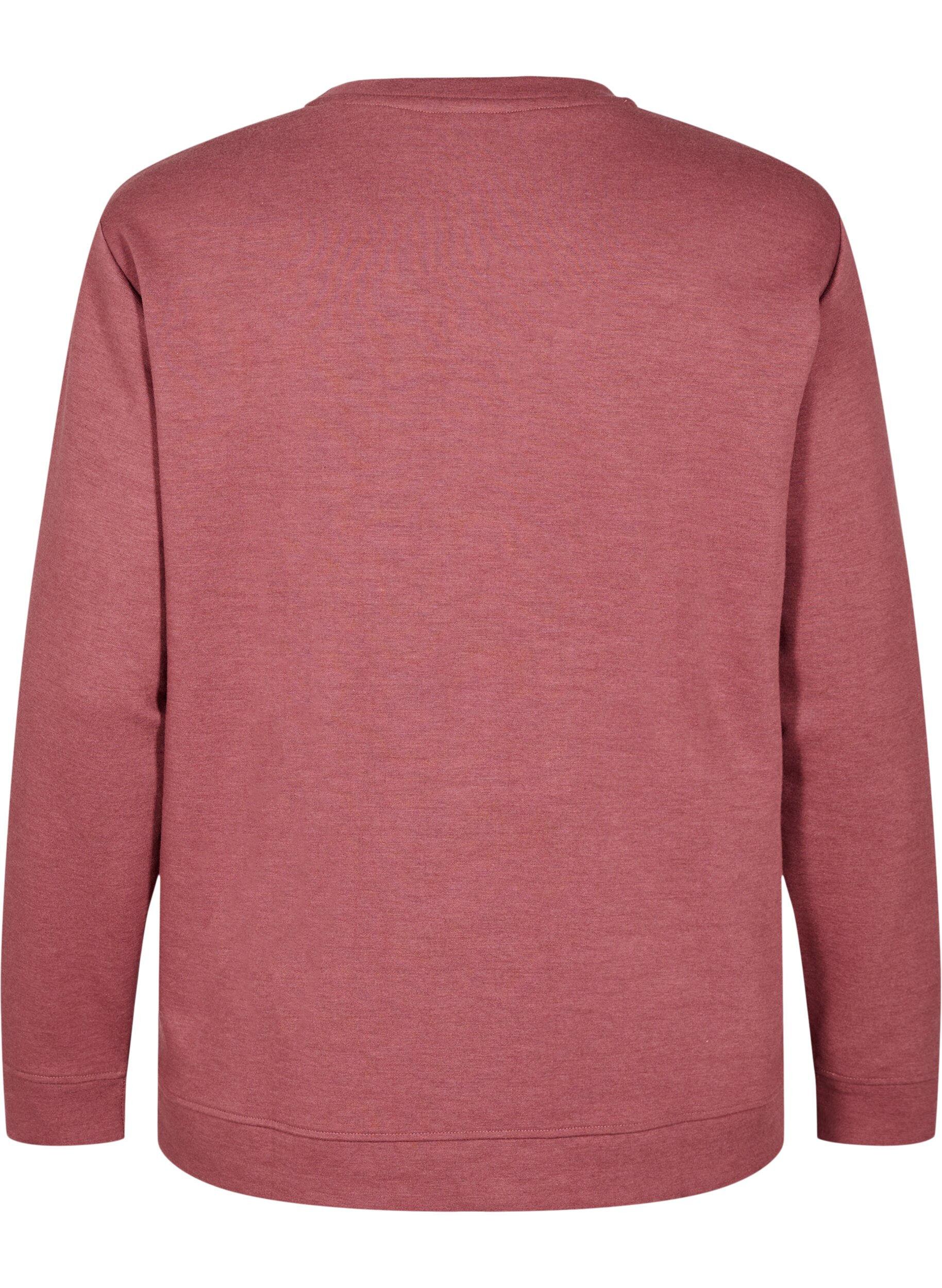 Zizzi FLASH - Genser med crewneck, Brun, Packshot image number 1