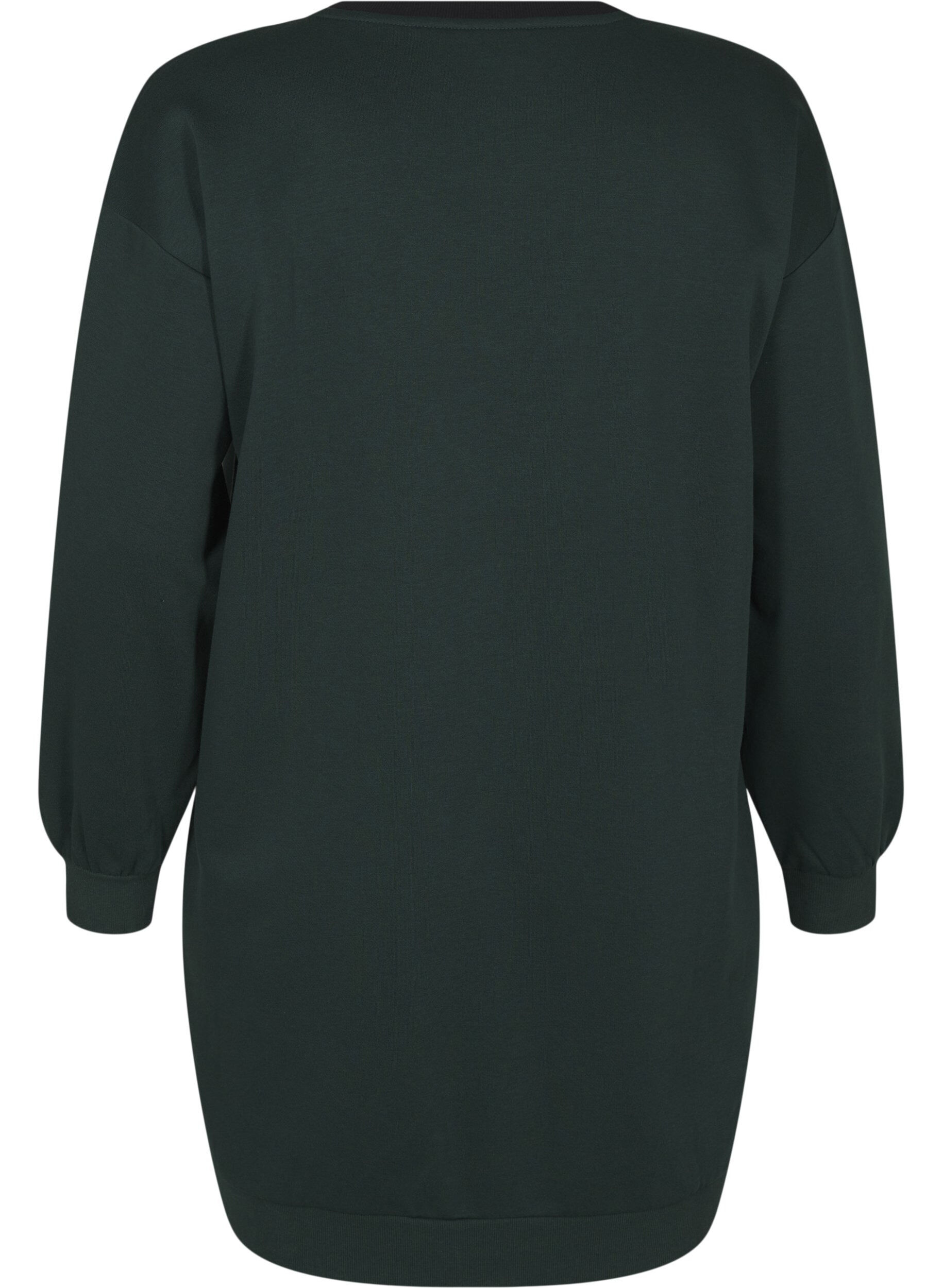 Zizzi Lang, fargeblokket sweatshirt, Scarab Color Block, Packshot image number 1