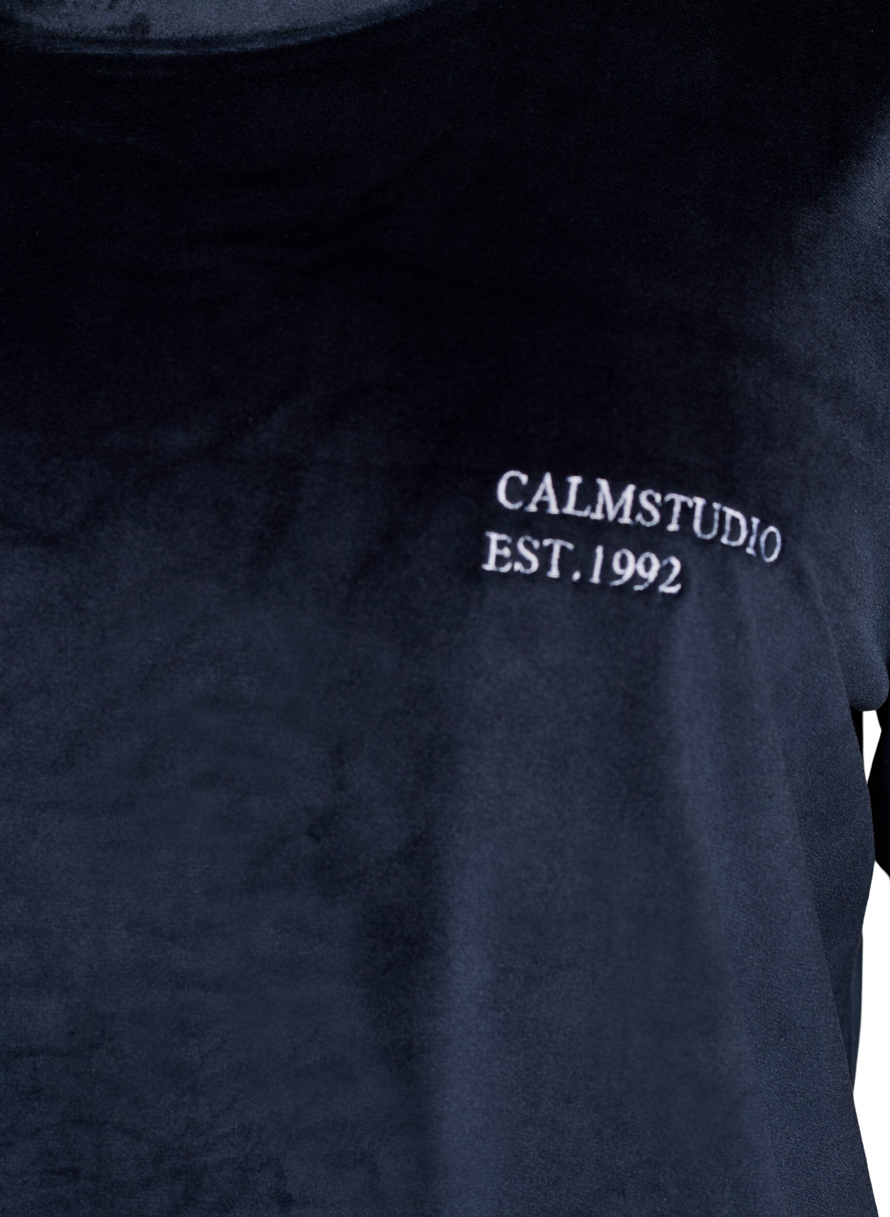 ZizziVelourbluse med brodert tekst, Bl&aring;, Packshot image number 2