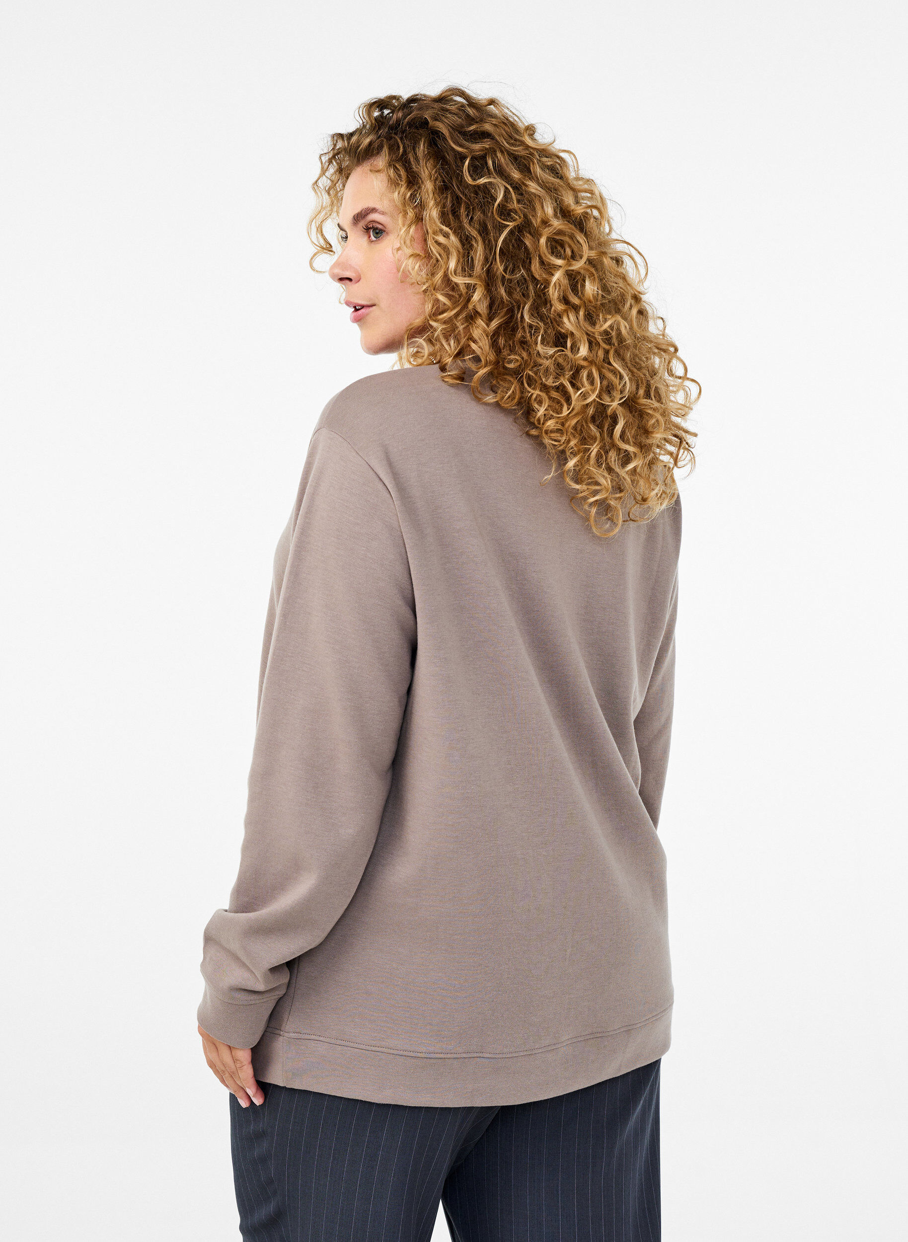 Zizzi FLASH - Genser med crewneck, Beige, Model image number 2