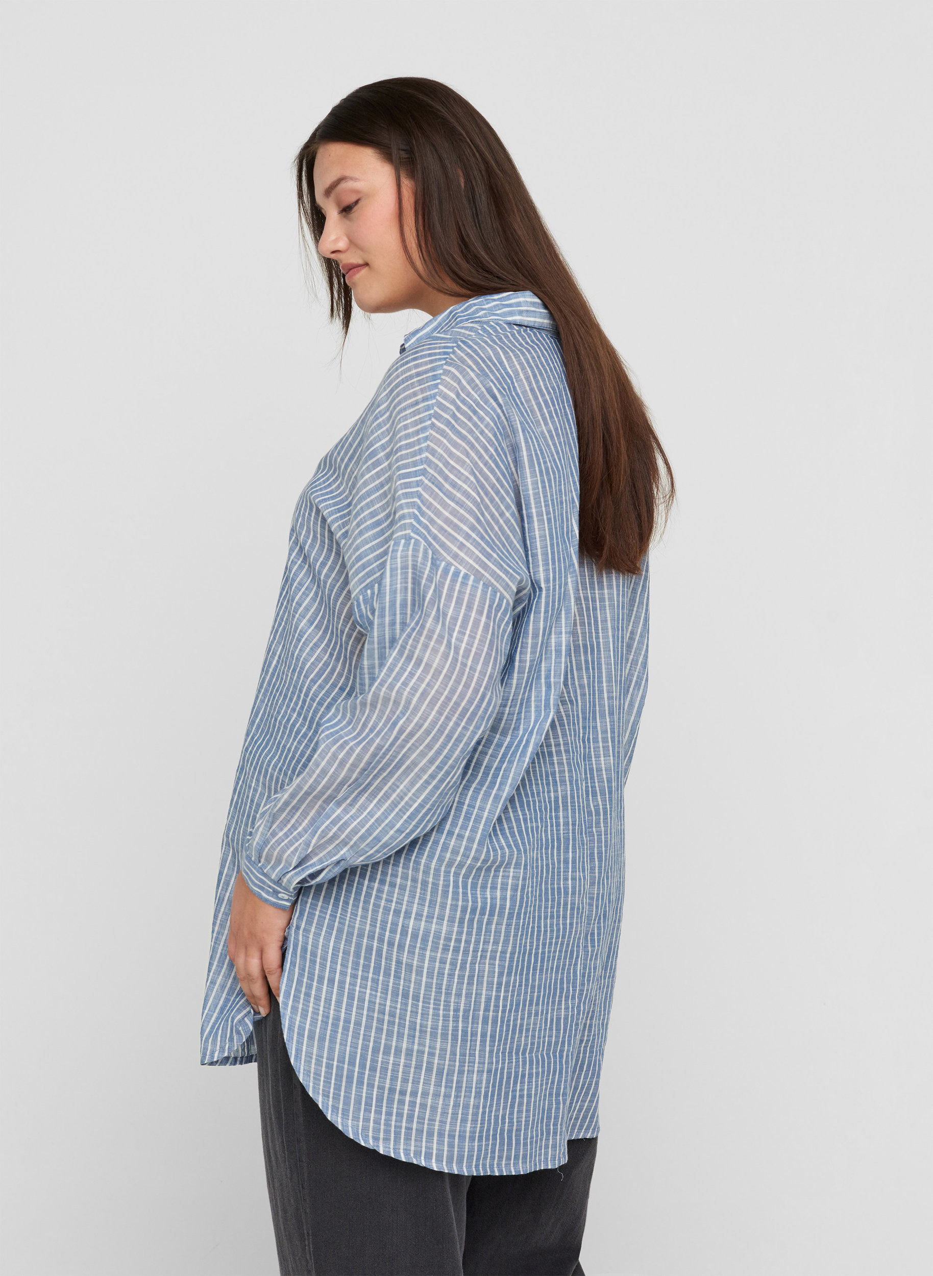 Lang stripete skjorte i bomull, Country Blue Stripe, Model image number 1